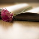 사랑의줄잇기 이미지