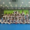 용인대 참샘 태권도 이미지