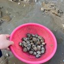 대이작치안센터 이미지