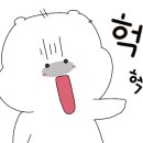 오리진 동물피부과병원 이미지