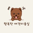 희망애견미용실 이미지