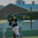 배나물야구장 이미지