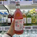 리얼편의점 | 새로 오미자 알쓰가 직접 마셔본 리얼 후기 마트 편의점 가격