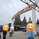 세븐일레븐 화성마도중앙점 | [화성마도] 제10회 마도 황토이슬 농산물축제 이야기