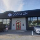 도기온 (doggyon) | 대구근교 경산 하양 야외애견카페 &#39;도기온 &amp; doggy on&#39;
