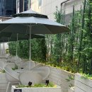닉스 - 안양시 동안구 동안로 119 | 강남역 대형카페 '셀렉티드닉스' 후기 (티라미수 맛집)