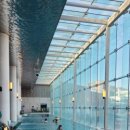 고바우왕소금생구이 이미지