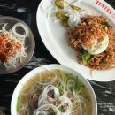 스타애견 | 하남 스타필드 애견동반 식당 &#39;띤띤드타마린드&#39; / 테라스 이용 후기 (내돈내산)