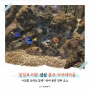 아기사랑어린이집 | 2026년까지 무료? 충주 새로 생긴 아쿠아리움 솔직 후기 (아기랑 가기 딱 좋아!) ㅣ 라라로그