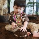 인덕원환승 | 고마워토토 인덕원점 :: 39개월 아이 화산이 만든 당근밭 체험 수업 첫 방문 후기