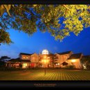 스타팰리스 이미지