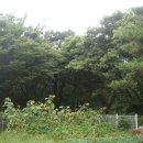 오삼농원 이미지