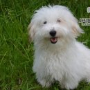 사직동물의료센터 이미지