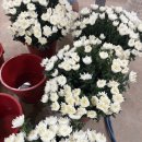 우리장례식장 - 곡성군 천변로 83 | 우리장례식장