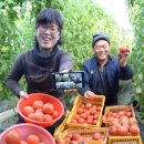 폰하우스 한국일보