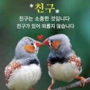 녹명 이미지