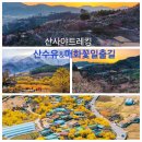 3월8일 토요도보 - 구례 산수유축제 돌담길&amp;홍매화 일출길(무박) 이미지