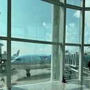 457 | 다낭 여행 ep 02. 대한항공 인천(ICN) → 다낭(DAD) KE457 탑승후기