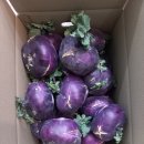 나눔민박 이미지