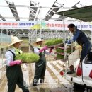 동서태양광발전소 이미지