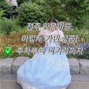 전주 한옥마을 가볼만한곳 주차장부터 먹거리, 한복남 한복체험까지 솔직후기