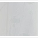 자연미소치과 이미지