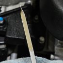 비비게러지 이미지