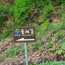 원주공고길 이미지