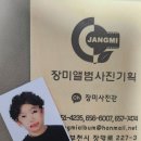 장미앨범사진기획 이미지