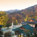 용문사 - 1144 | 용문사