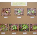 한서농장 이미지