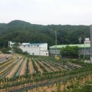 헤븐하우스 이미지