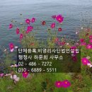 행정사 하문희사무소 이미지