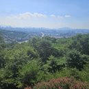 팔호광장 - 강원사대부고삼거리 | 남산둘레길 남쪽 구간 - 순국선열들의 얼이 새겨진 울창한 숲길