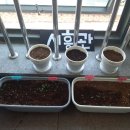 시흥검도관 이미지