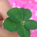 병권농장 이미지