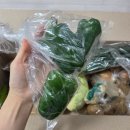 천원유통 | [식명관] 알뜰살뜰 농산물 쇼핑! 식명관 천원의 행복 내돈내산 후기