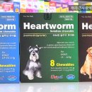 청라동물약국 이미지