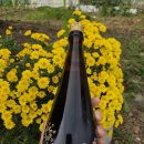 한산소곡주 | 🥂 분위기 살리는 전통주! 한산모시양조장 &#39;한산소곡주&#39; 리얼 후기 (회, 육류와 찰떡궁합!)