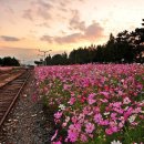 기차길옆 이미지