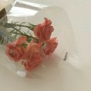 파더스베이글(진월점) | 반짝반짝 빛이나는✨✨✨