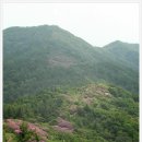 덕두산 티스토리