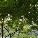 마이산민박 이미지