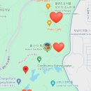 스카이필드트립