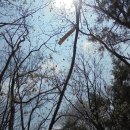 낙동 운평리 이미지