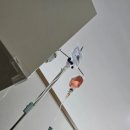 박찬우365의원 이미지