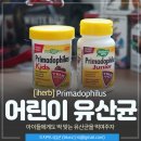 필러스영어 | 아이허브 어린이 유산균 프리마도필러스 키즈와 주니어 차이 후기