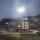 [울릉크루즈] 임신 21주차 임산부의 포항-울릉도 크루즈 2인실 탑승기!
