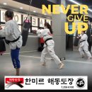 해동태권도 이미지