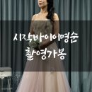233 | D-233 시작바이이명순 촬영가봉 비동행 후기